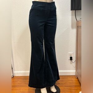 Pilcro Midnight Blue Flare Pants